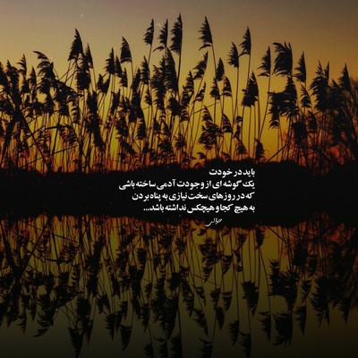  خدا رو شکر هنوز خدا بزرگه با اینکه میمونن دزدا گرسنه